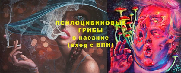 мескалин Гусиноозёрск