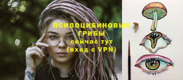 меф Гусь-Хрустальный
