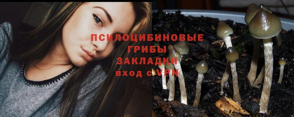 меф Гусь-Хрустальный